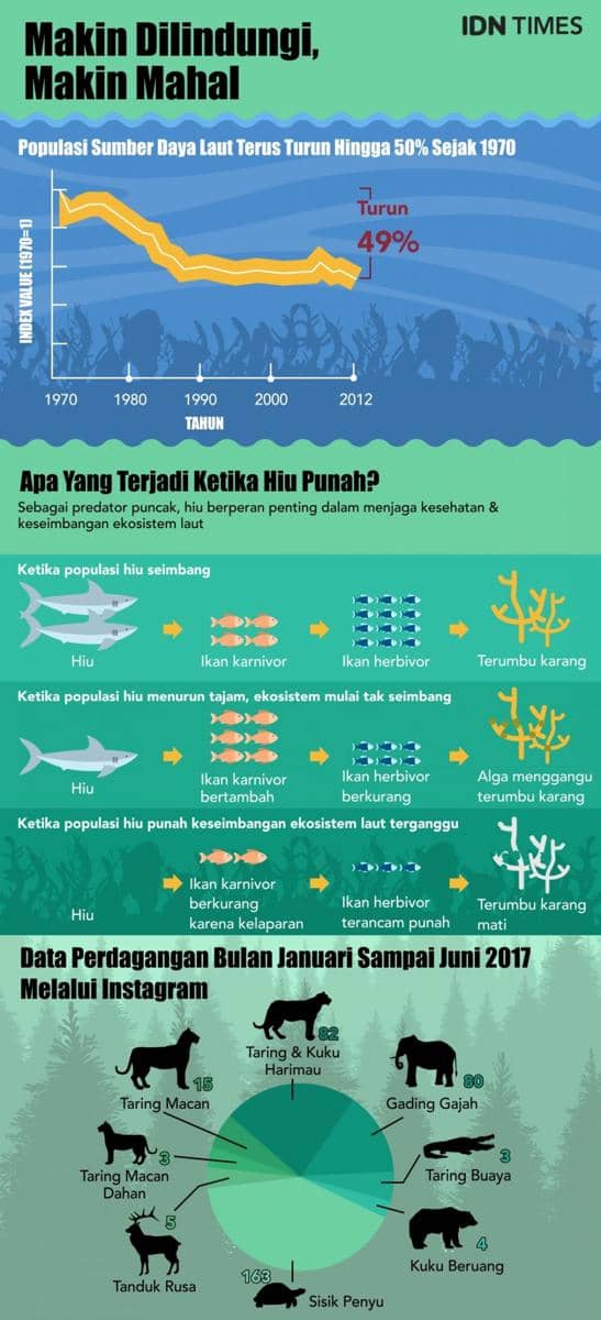 IDN Times/Sukma Shakti