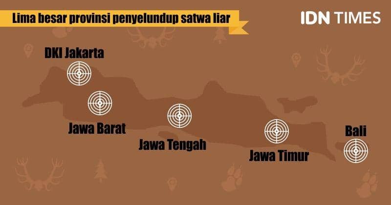 IDN Times/Sukma Shakti