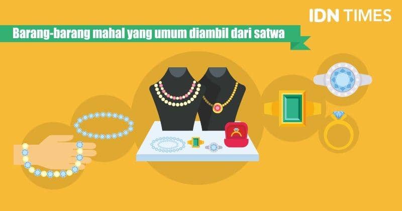 IDN Times/Sukma Shakti