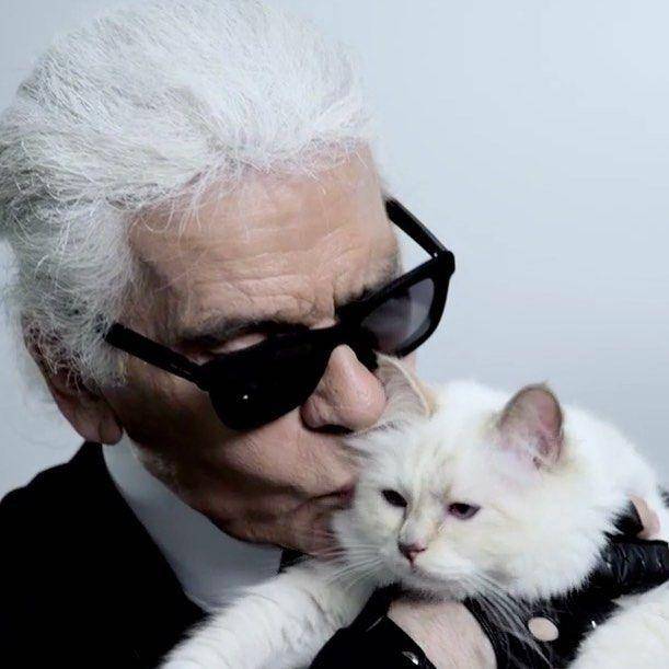instagram.com/choupettesdiary