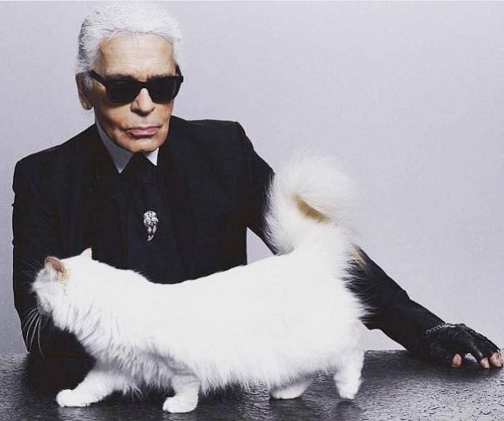 instagram.com/choupettesdiary