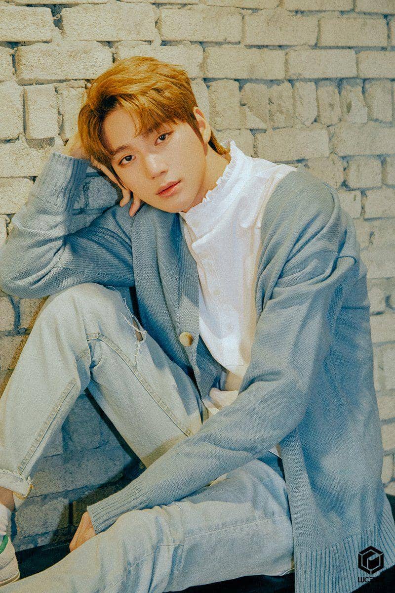 Twitter.com/@LUCENTE_NOGA