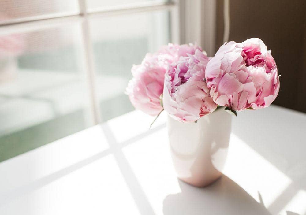 5 Produk Kosmetik dari 'Bunga Peony', Bikin Segar di Wajah!