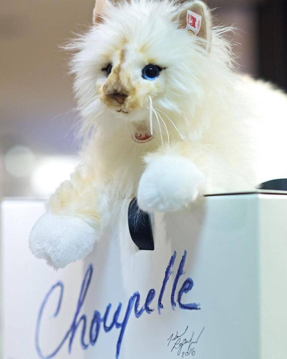 Instagram.com/karllagerfeld