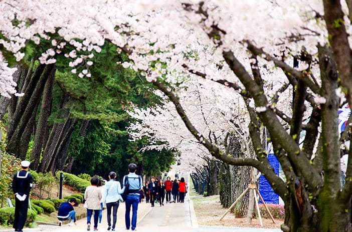 english.visitkorea.or.kr