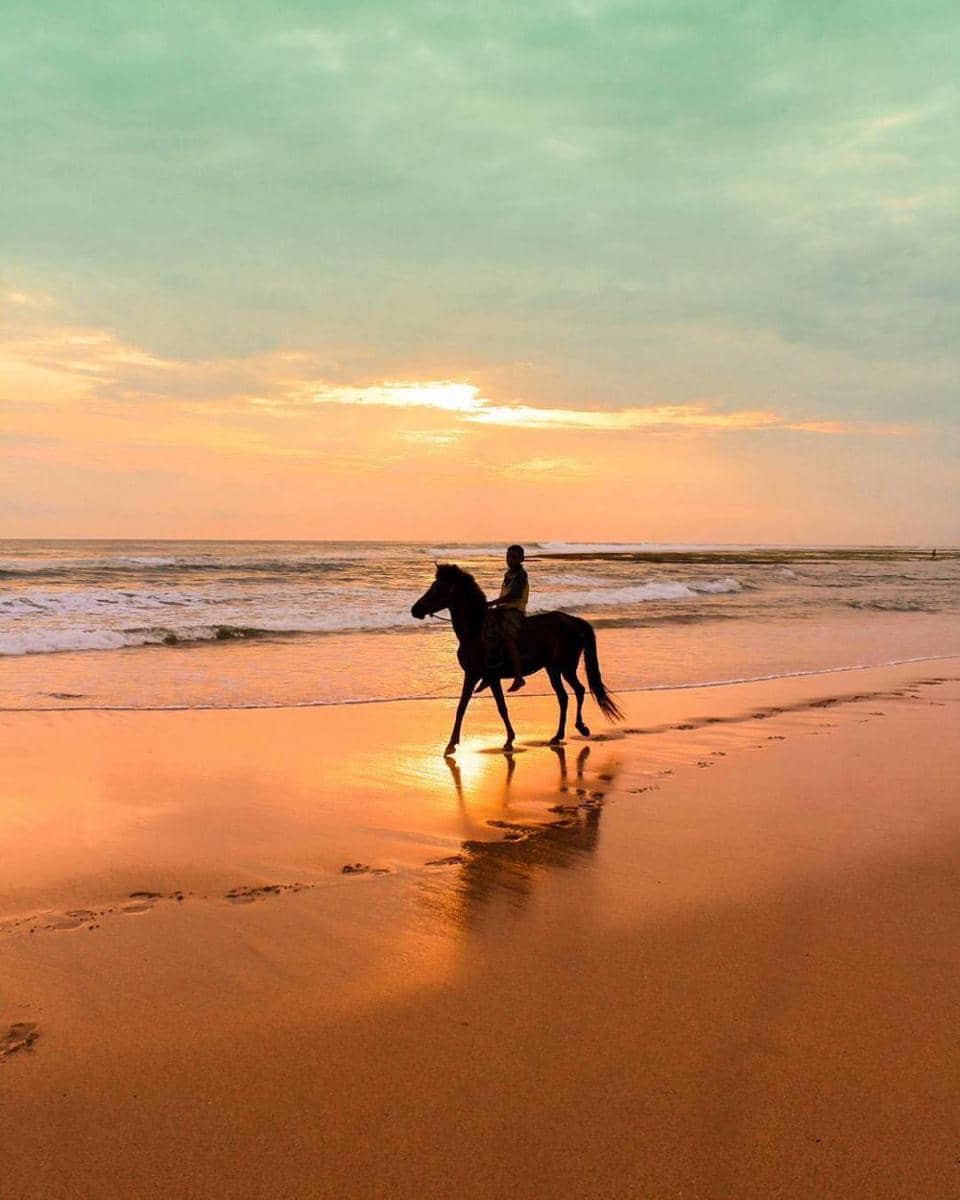 instagram.com/thelensofnt