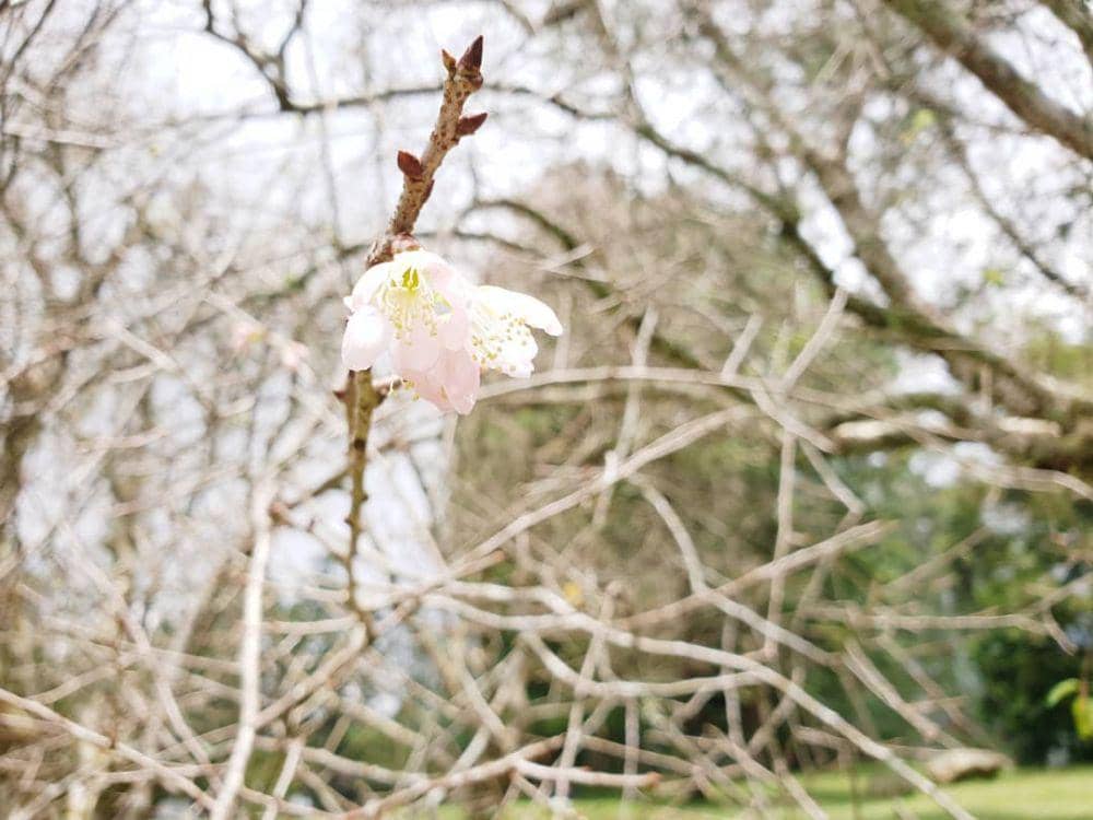 instagram.com/yazidra97