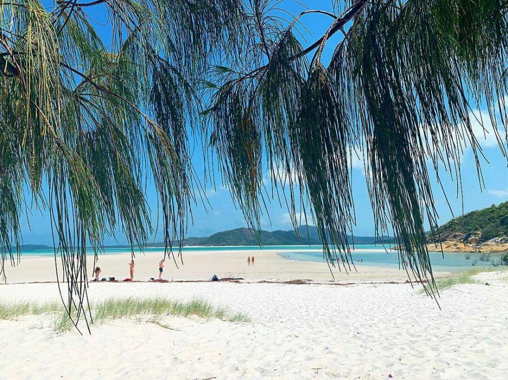 instagram.com/daleeshadiaries