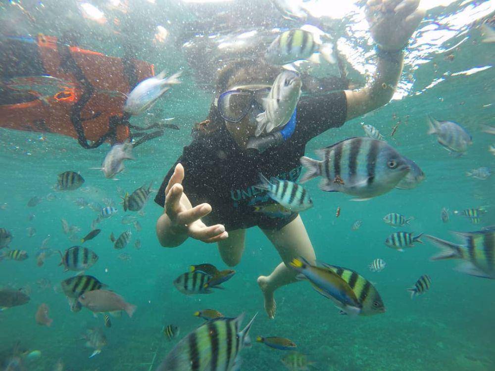 instagram.com/pahawang.wisata