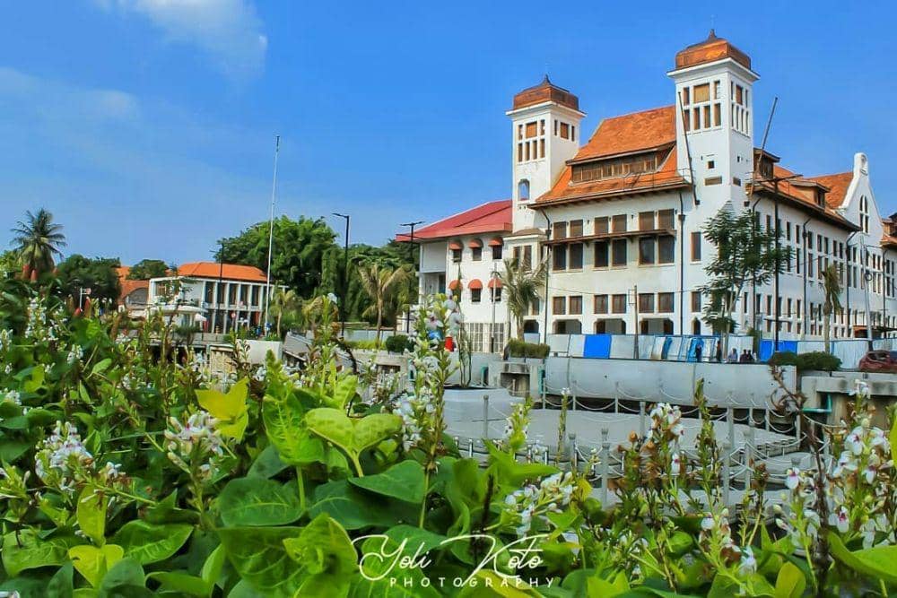 instagram.com/yolikoto