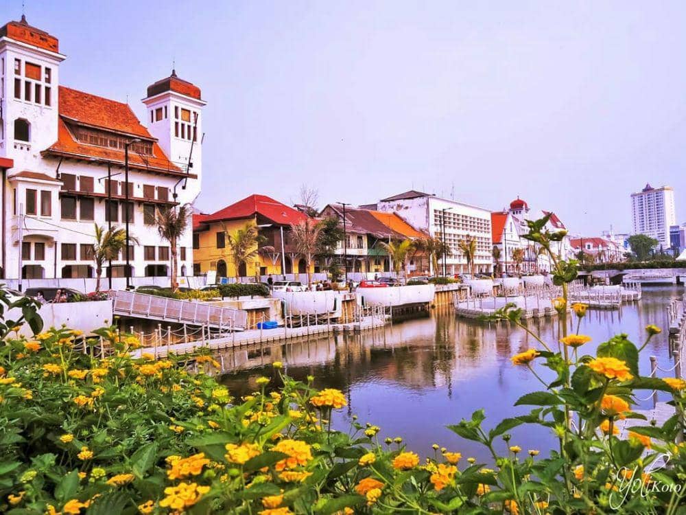 instagram.com/yolikoto