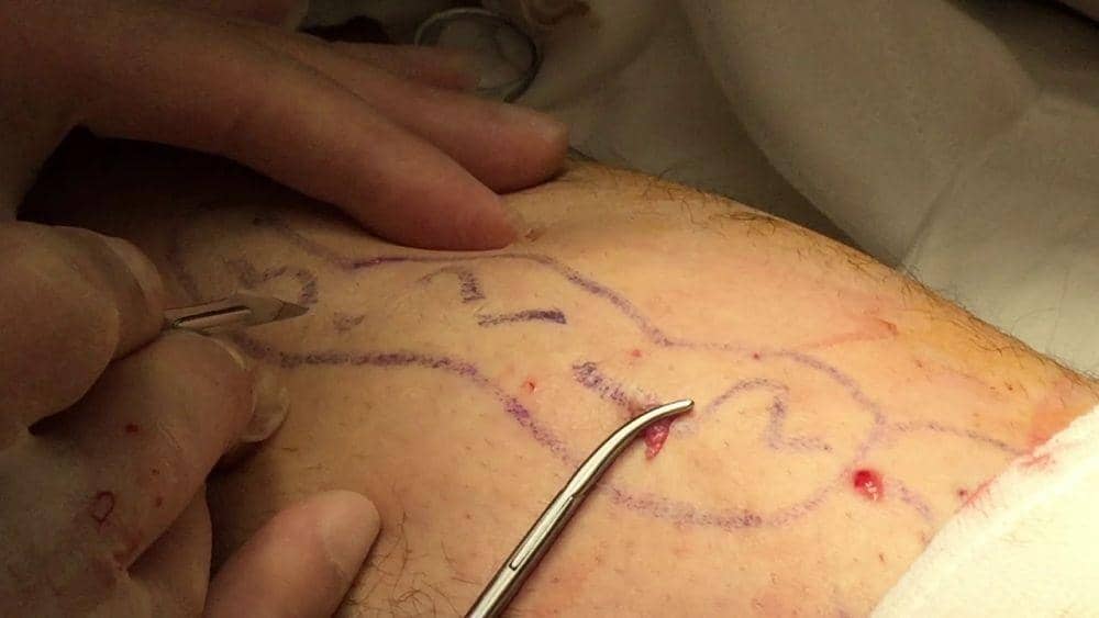 Prof. Dr. Uğur Bengisun