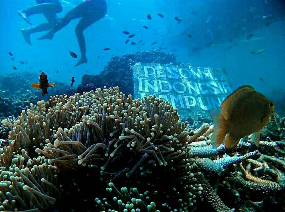 instagram.com/pahawang.wisata