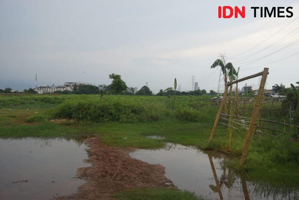 IDN Times/Gregorius Aryodamar P