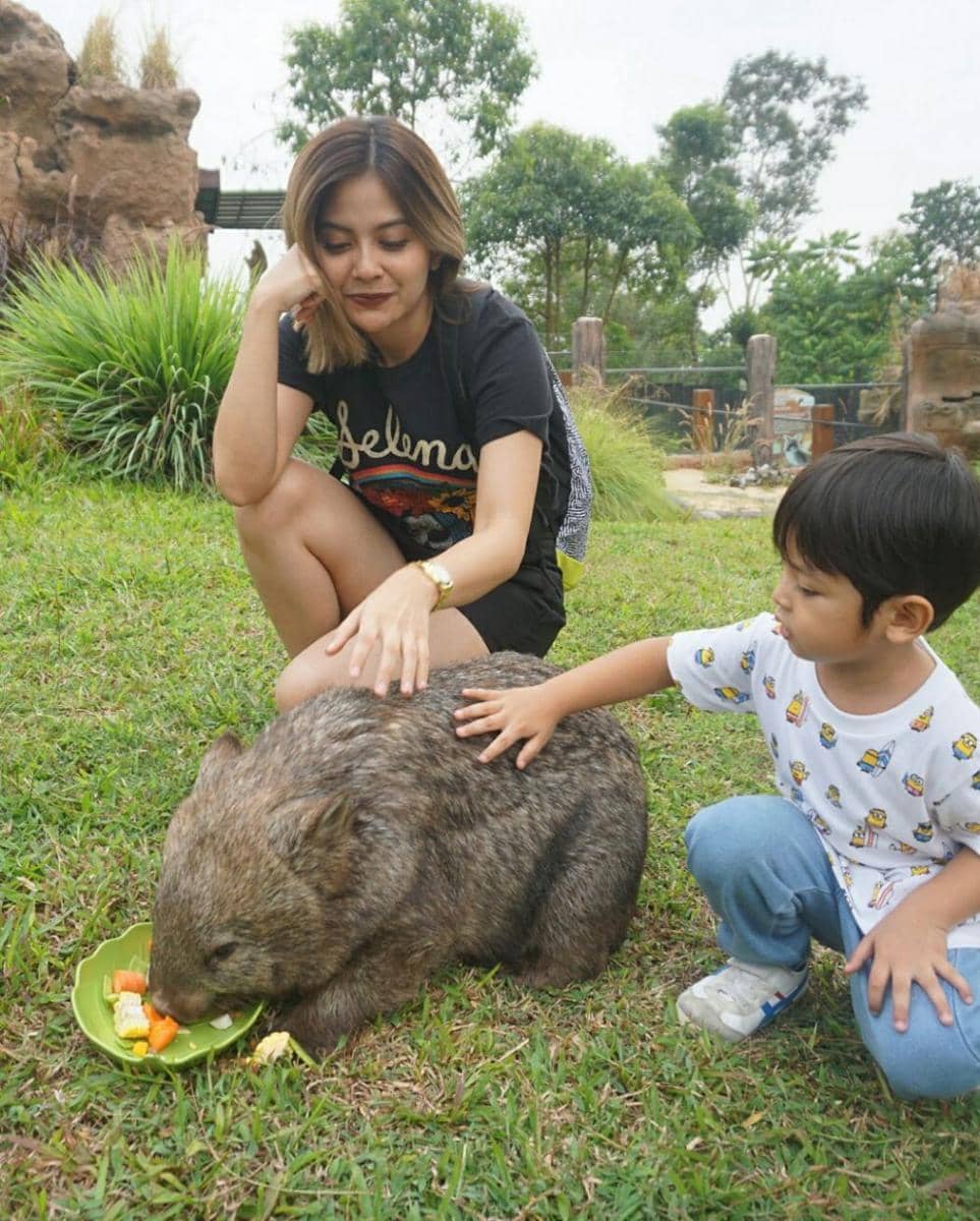 instagram.com/tentangtiwi