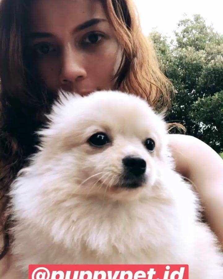 instagram.com/mynameischanel/