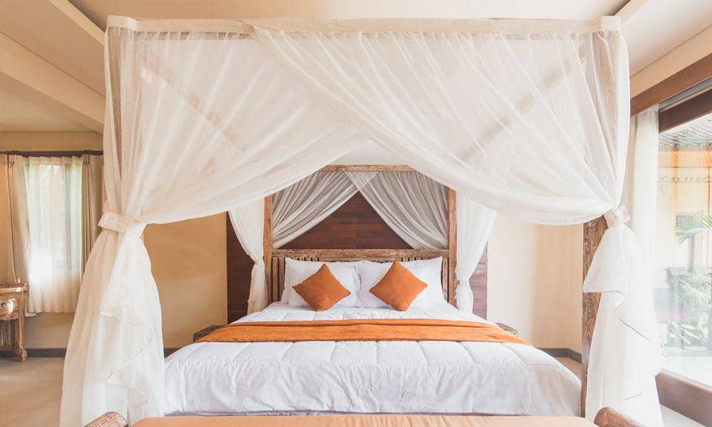 unsplash.com/mark chaves