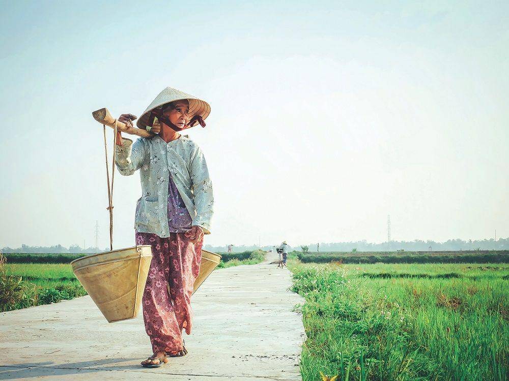 Unsplash/Hưng Nguyễn Việt