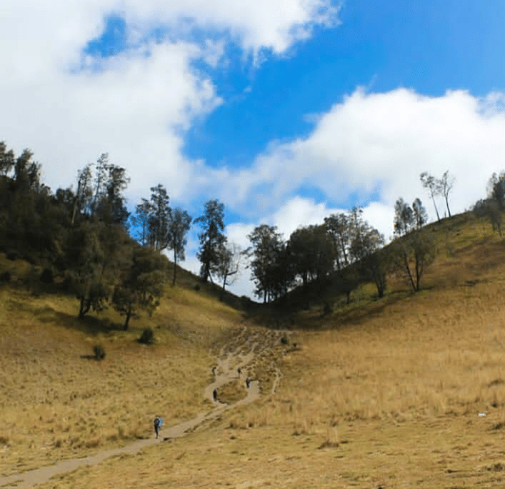 Instagram.com/coffee_susu