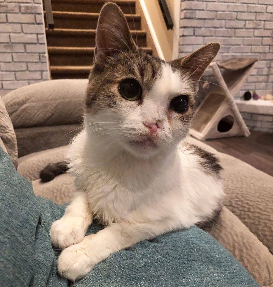 Instagram.com/littleman_mika