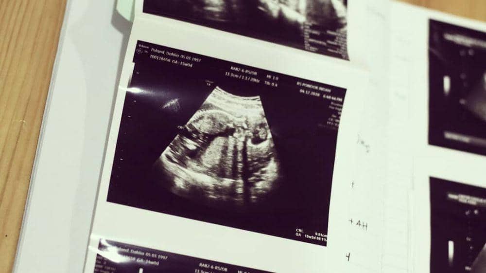 instagram.com/dahliachr