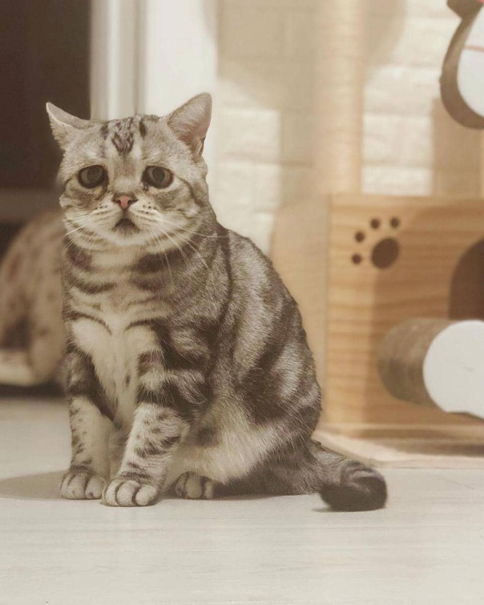 Instagram.com/lanlan731