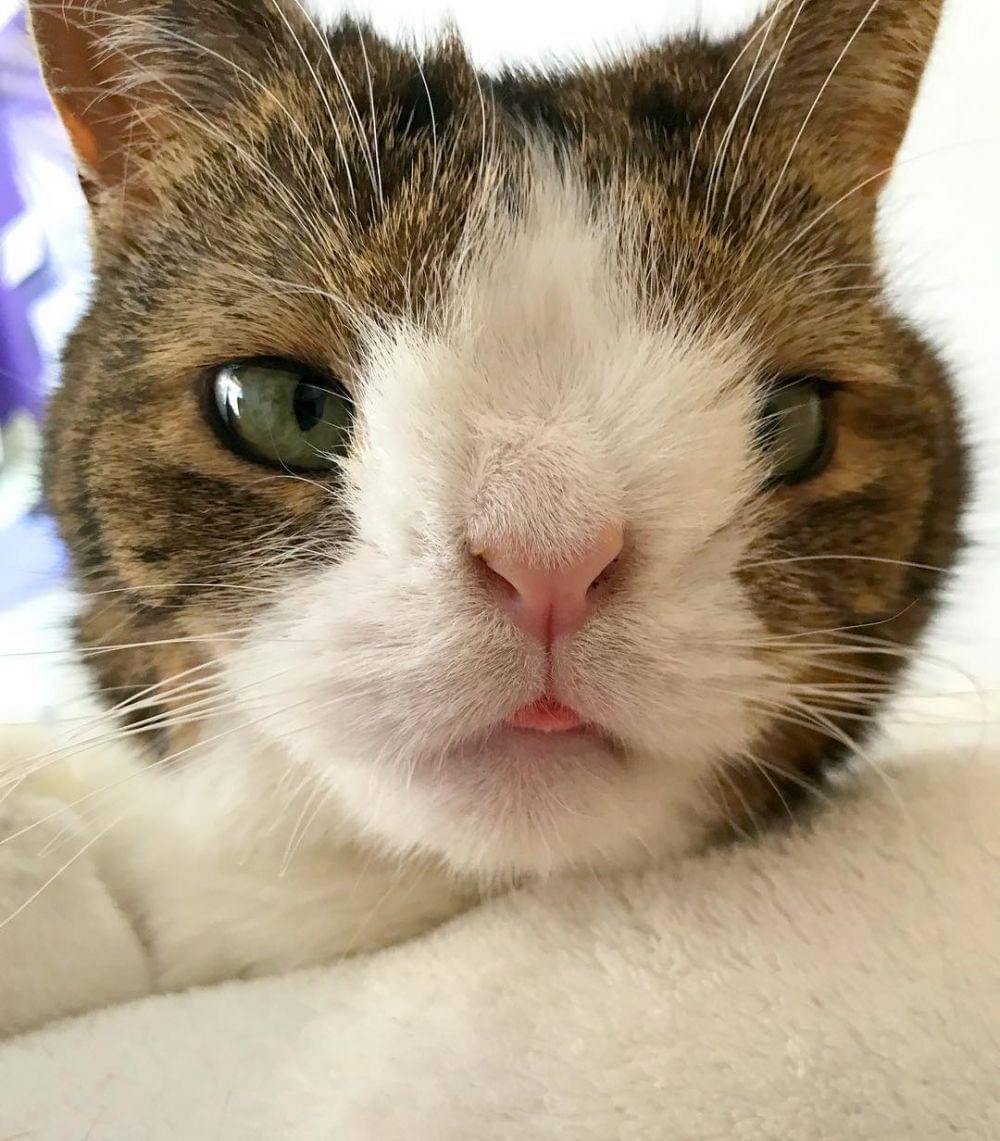 Instagram.com/monty_happiness