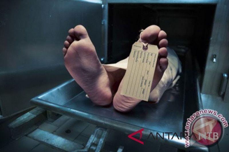 Antara Foto/Ilustrasi