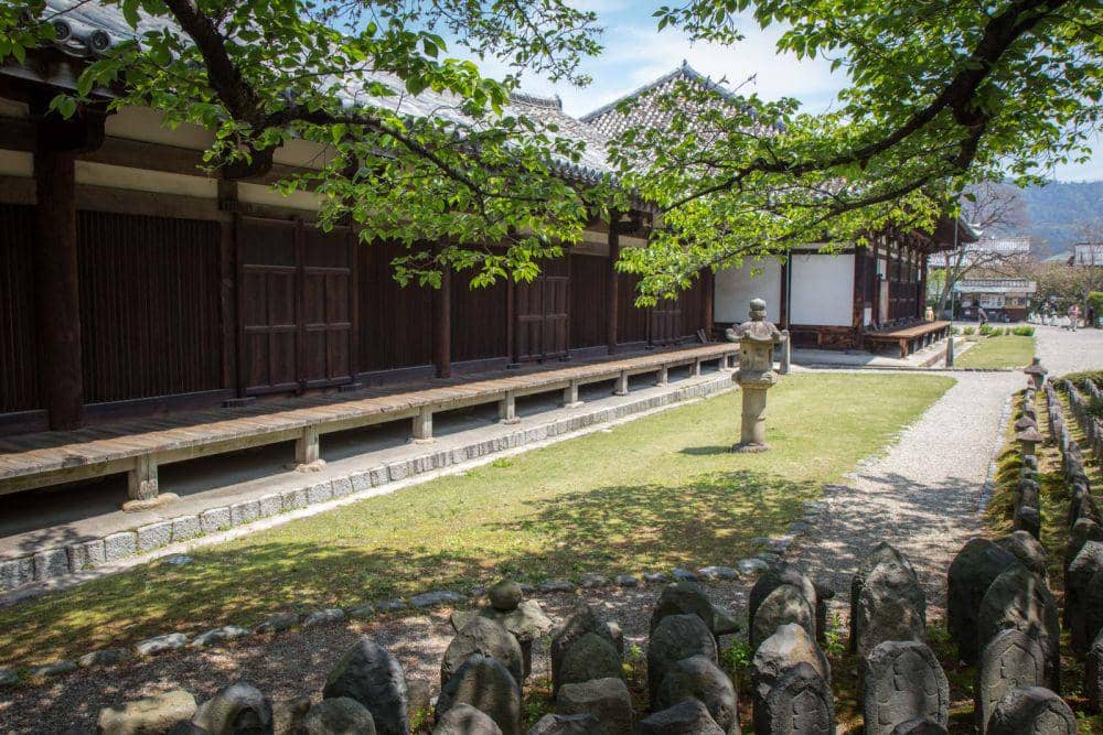 timetravelturtle.com