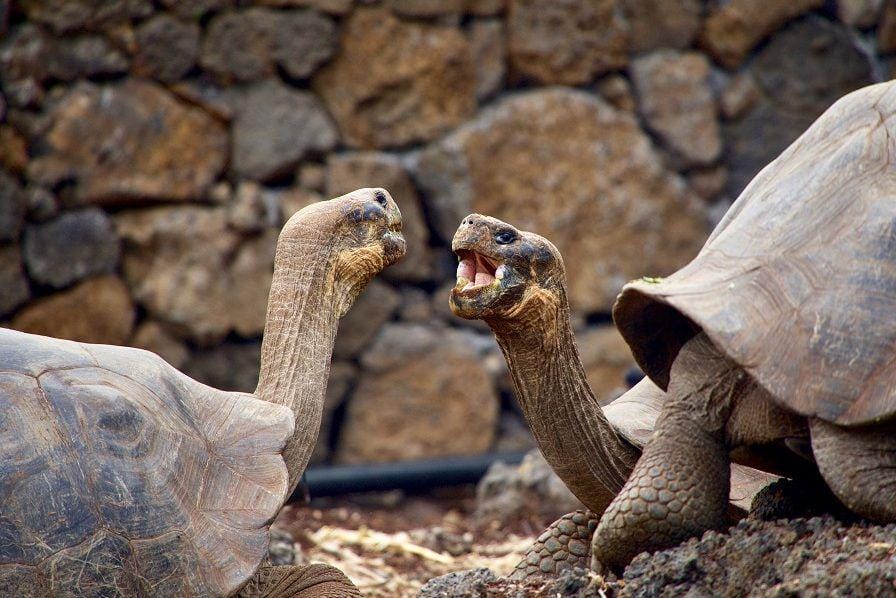 Unsplash/magdalenakulamanchee