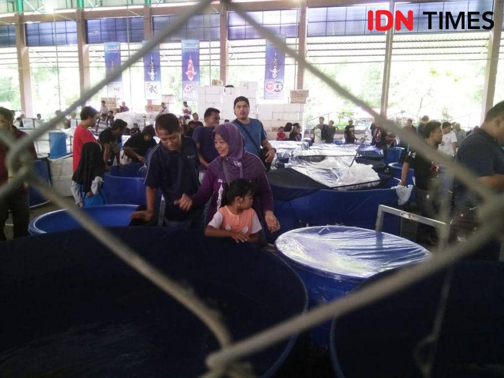 IDN Times/Nofika Dian Nugroho