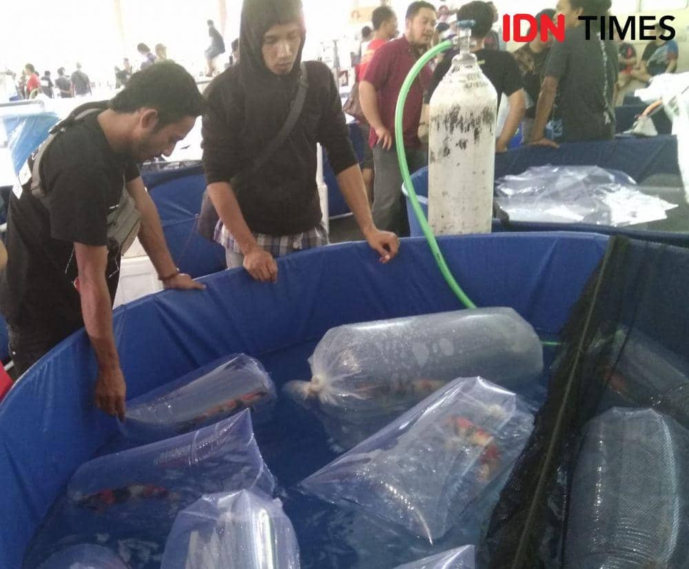 IDN Times/Nofika Dian Nugroho