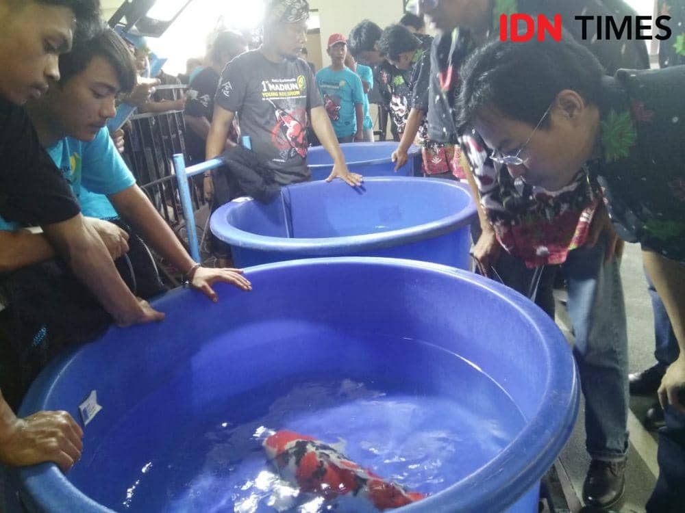 IDN Times/Nofika Dian Nugroho