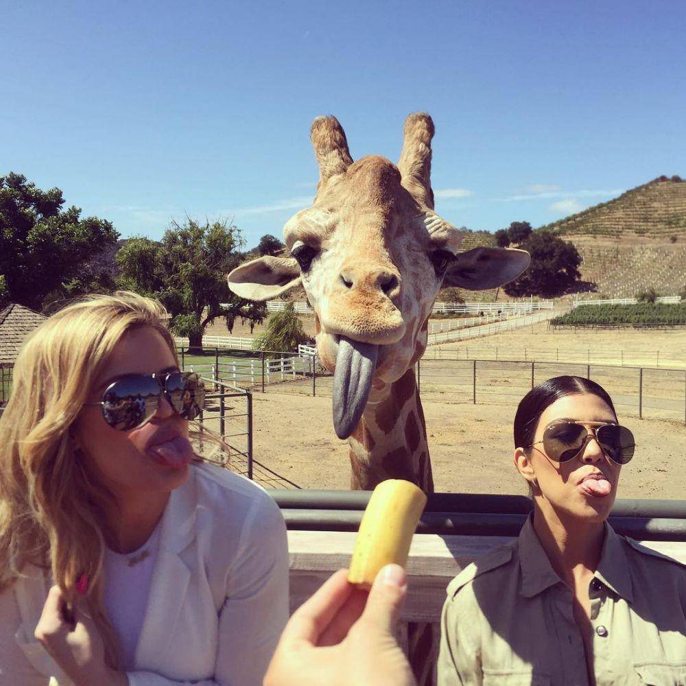 instagram.com/malibusafaris