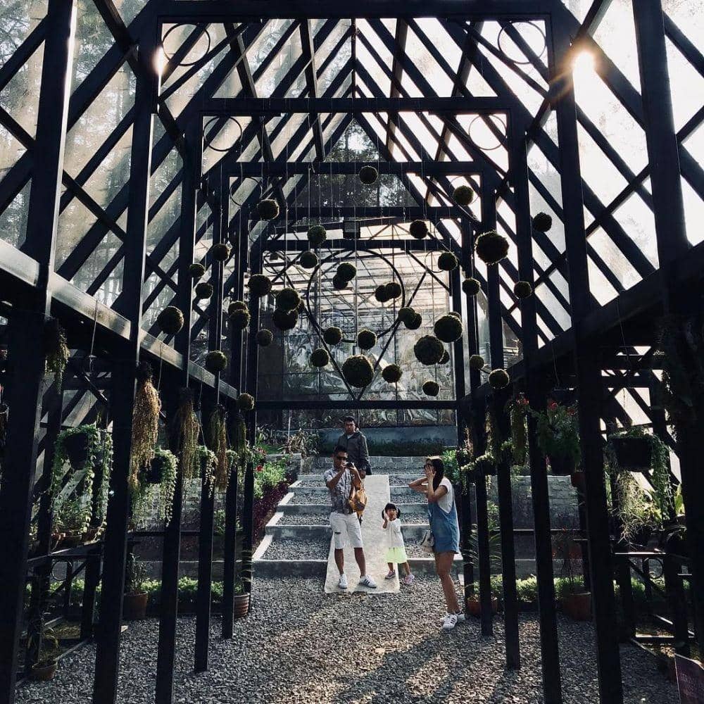 instagram.com/orchidforestcikole