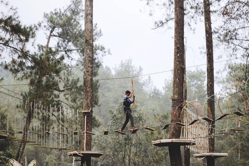 instagram.com/orchidforestcikole