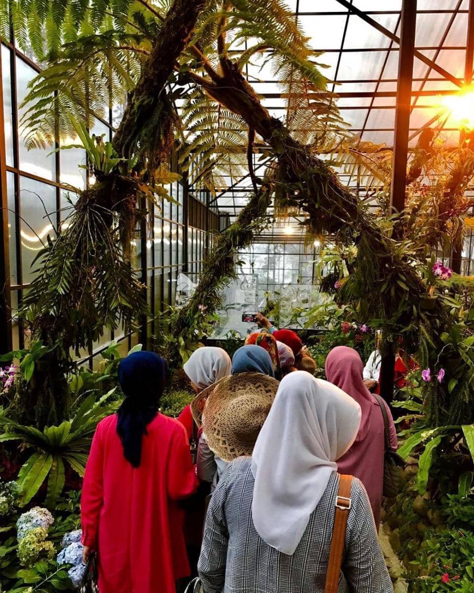 instagram.com/orchidforestcikole