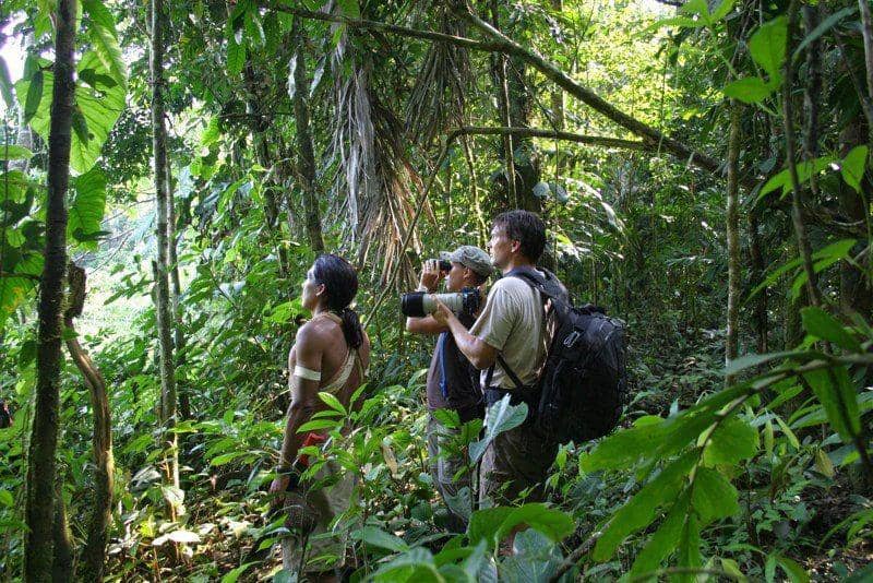 ecuadorgreentravel.net