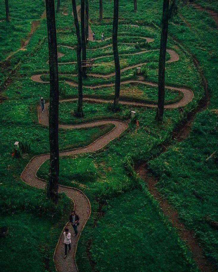 Instagram.com/indoflashlight