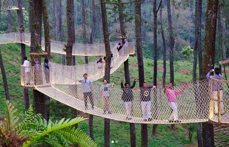 Instagram.com/orchidforestcikole