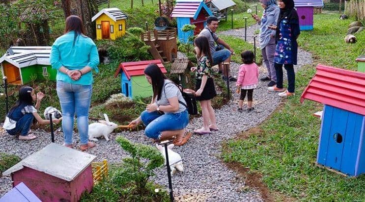 Instagram.com/orchidforestcikole