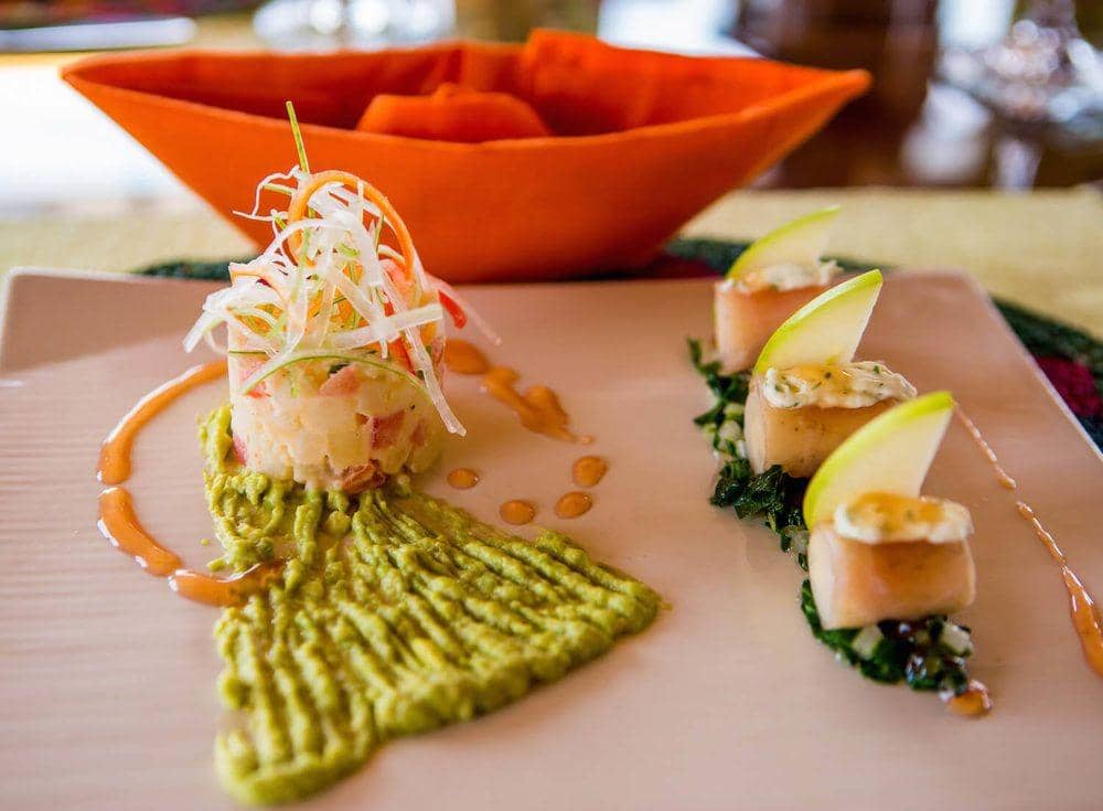 rainforestcruises.com