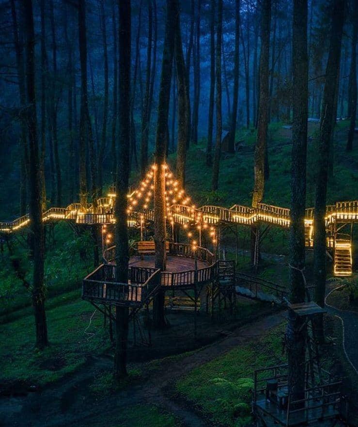 Instagram.com/warmanwardhani