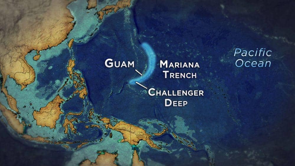 thegreatcoursesplus.com