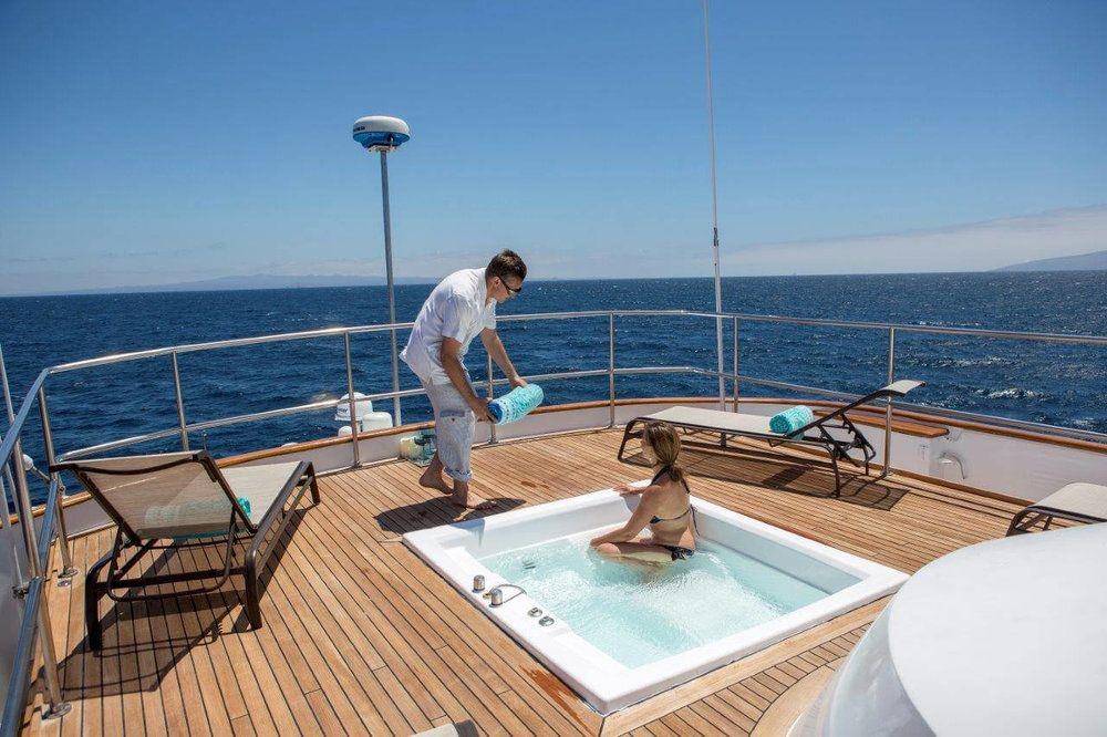 rainforestcruises.com