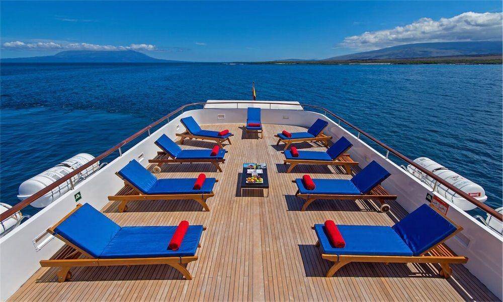 rainforestcruises.com