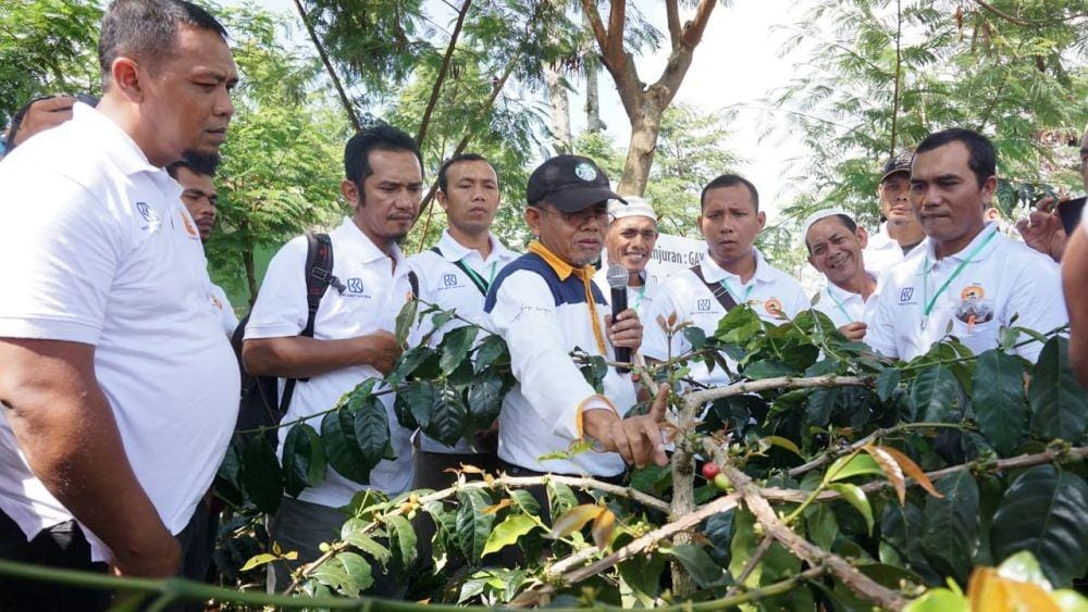 IDN Times/Arifin Al Alamudi