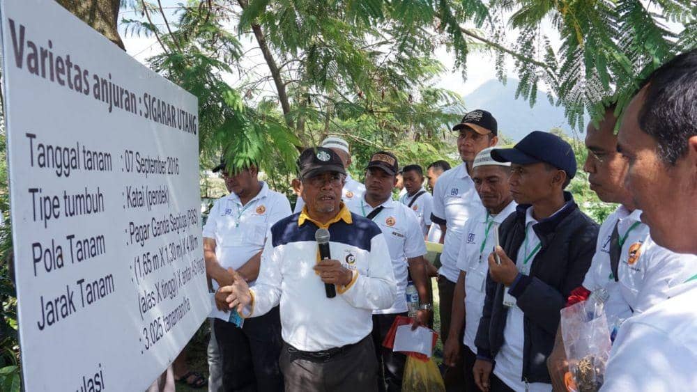 IDN Times/Arifin Al Alamudi