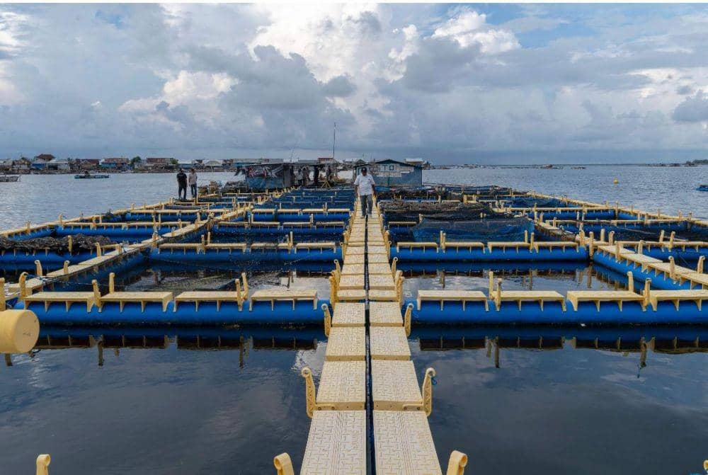 IDN Times/Kemendes PDTT