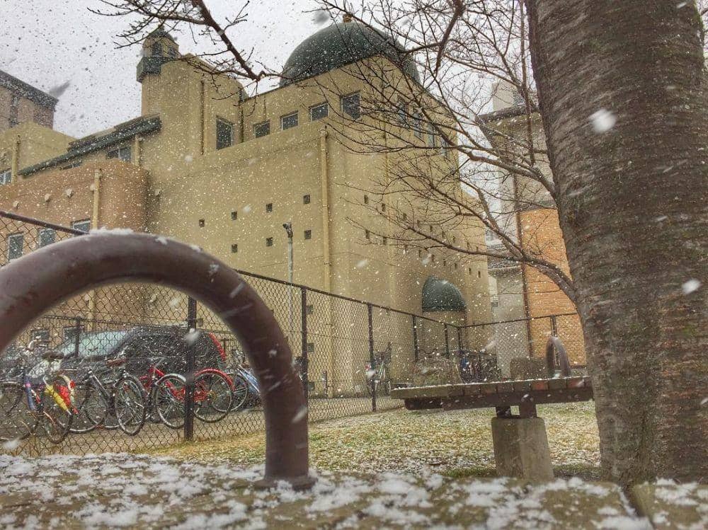 instagram.com/el_vikar